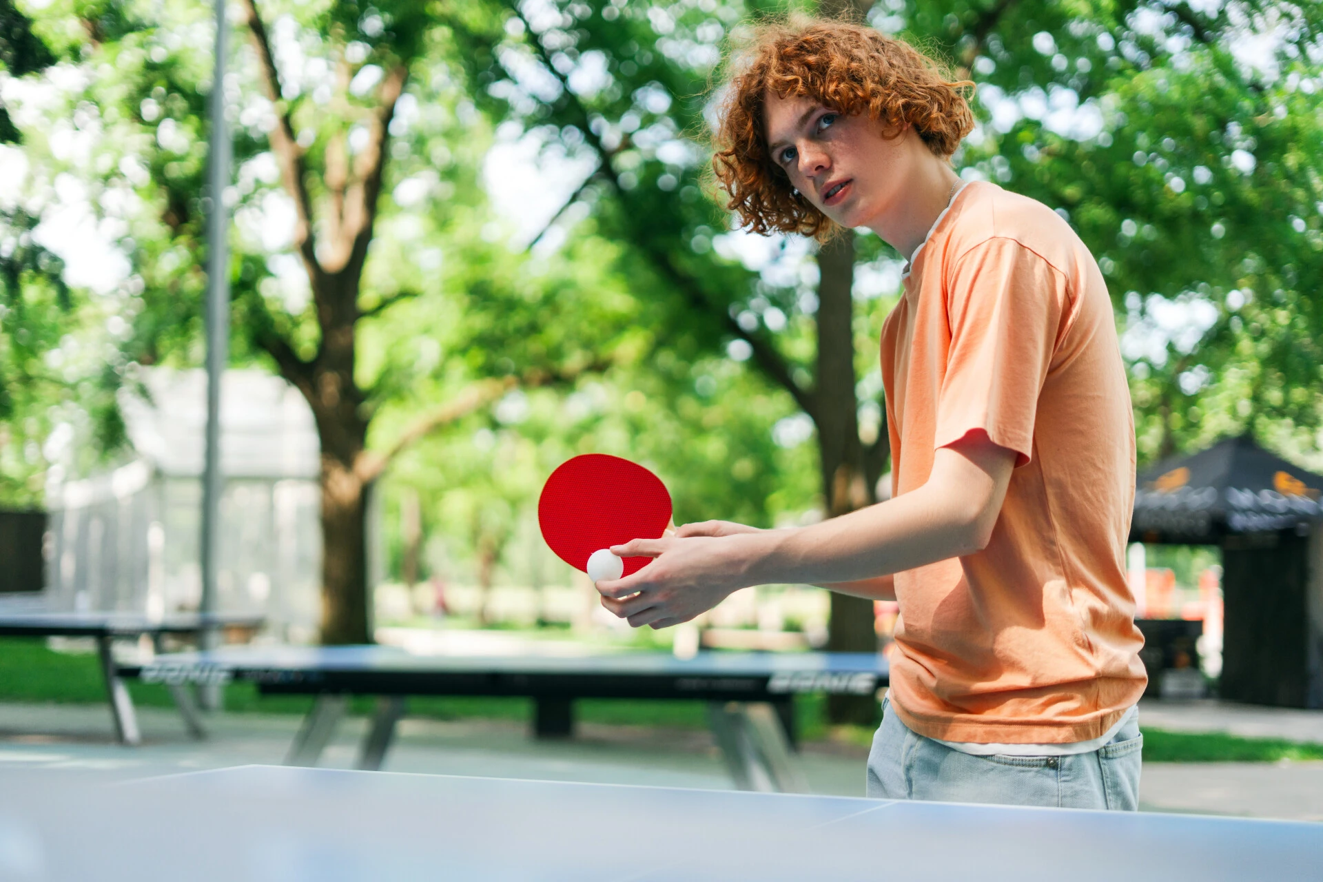 Ping - pong